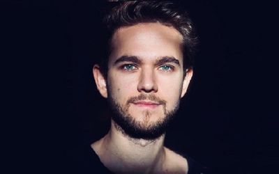 DJ Zedd Net Worth Revealed - Lives In $16 Million Worth Mansions & Drives Tesla Model S